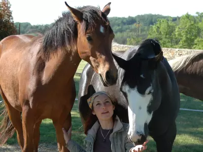 Retrouver l'harmonie intérieure grâce au cheval : une expérience unique à 