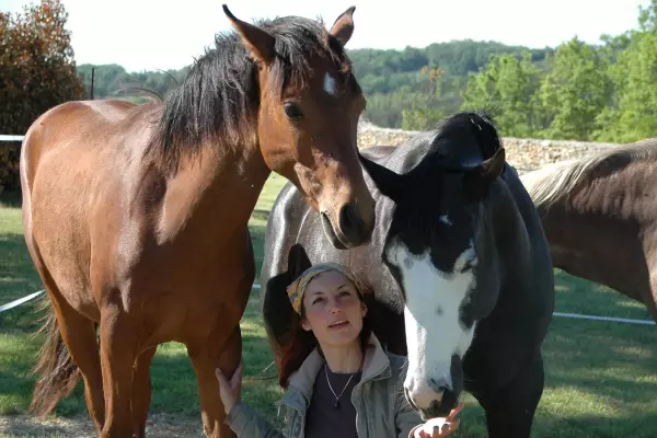 Retrouver l'harmonie intérieure grâce au cheval : une expérience unique à 