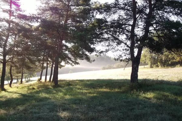 Retraite Spirituelle un Guide pour Trouver la Paix Intérieure