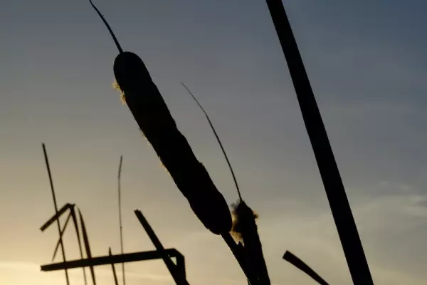 Un Cours en Miracles